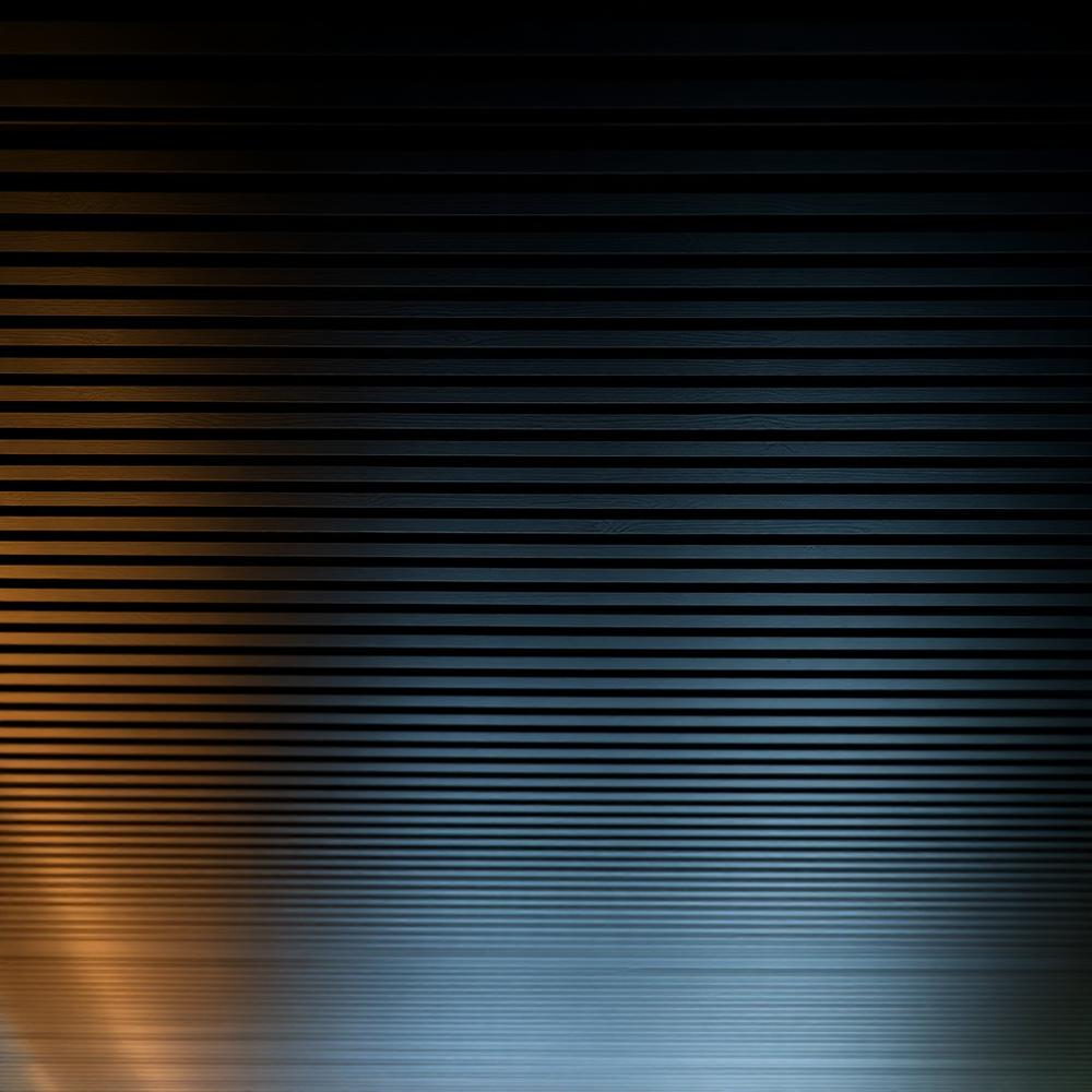 Charcoal Slat Ceiling